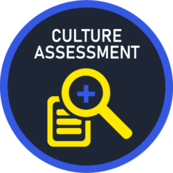 Culture-Assessment-500PX